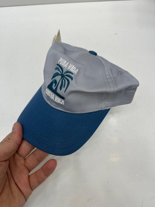 قبعة نخلة